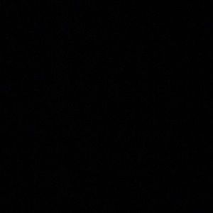 Meet your Posher, Nicolette